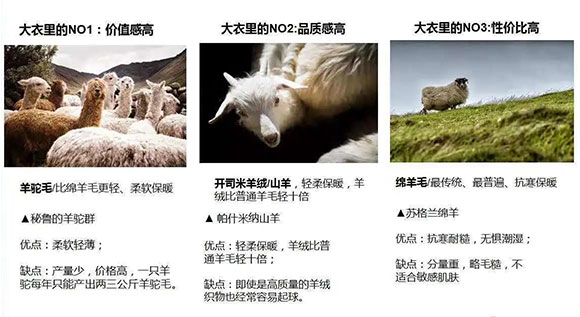 海洋之神hycc线路通路 - 海洋之神hycc检测中心