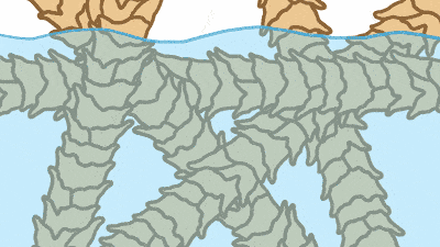 海洋之神hycc线路通路 - 海洋之神hycc检测中心