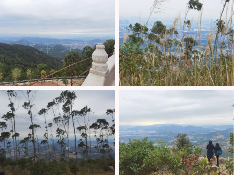海洋之神hycc线路通路 - 海洋之神hycc检测中心